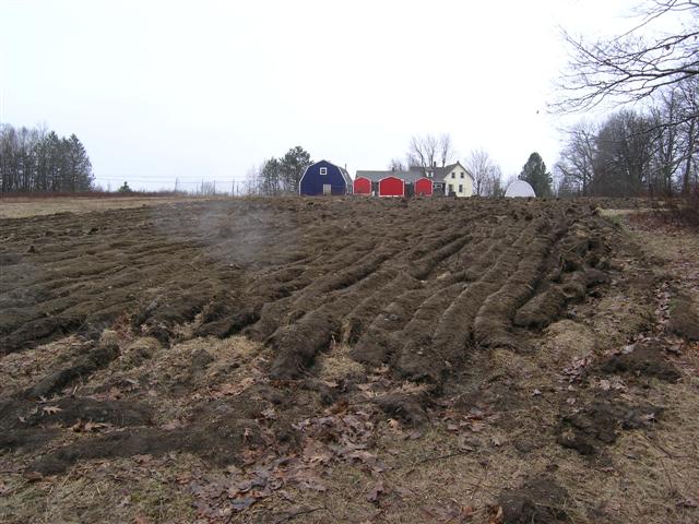 P1010021_%28Small%29.JPG