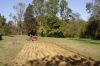 plowing~0.jpg