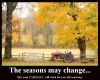 seasons.jpg