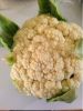 IMG_1067_cauliflower.jpg