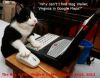 cat_computer.jpg